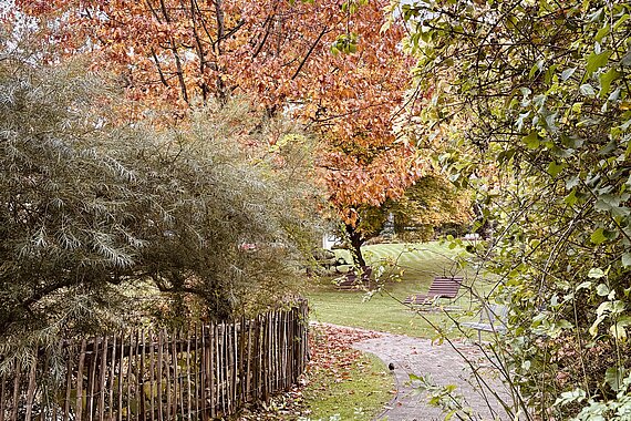 Ein Weg führt an einem Zaun in einem Park entlang. Die Bäume und Büsche sind herbstlich gefärbt.